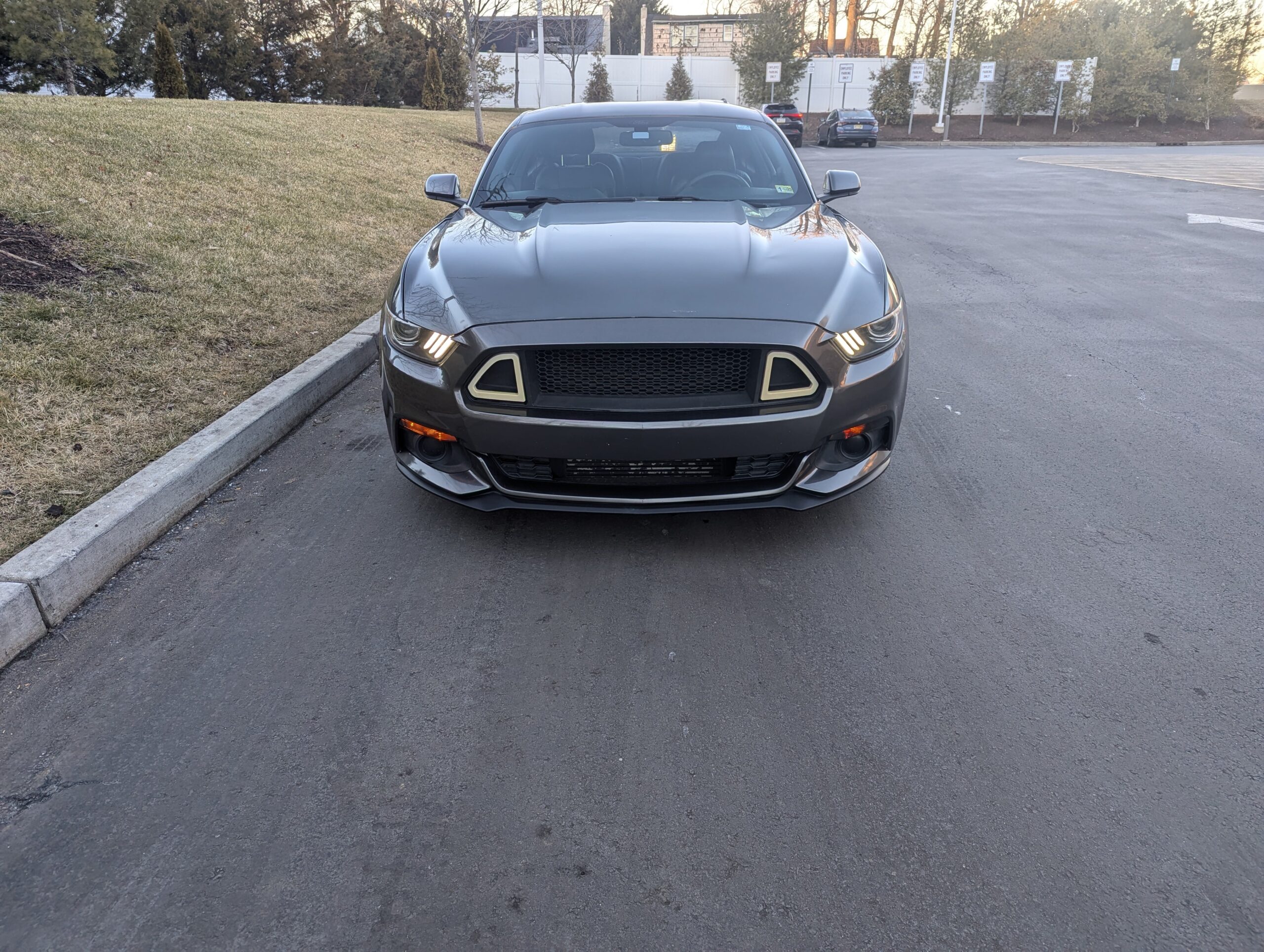 Ford Mustang ECOBOOST