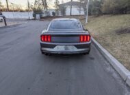 Ford Mustang ECOBOOST